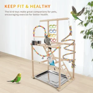 Bird Playstand,Parrots Playground for Small to Medium Birds,Perch Stand,3 Ladders Playgym with Rope Perch,Swings Feeder Cups