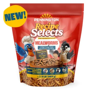 Recipe Selects Dried Mealworms for Birds, Bluebird and Wild Bird Food for Outside Feeder, 2 lb. Bag, 1 Pack