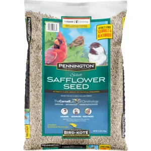 Safflower Seed Dry Wild Bird Food 15 lb Bag Single Pack