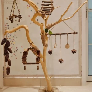 Professional Natural Wood Parrot Stand and Perch - Convenient and Practical Branches and Logs Bird Stand with Swing