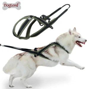 Outdoor Dog Harness and Leash Set for Medium and Large Dogs, Suitable for Walking and Sledding Adjustable Soft Padded Pet Vest