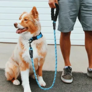 Comfort Padded Handle Dog Leaf Leash Heavy Duty Double Traction Design Reflective Safety Leash for Strong Breed Dogs