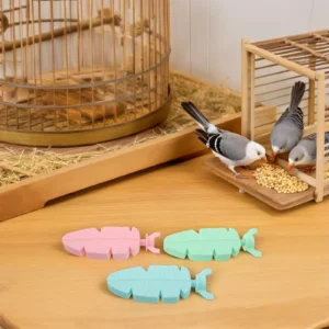 Bird Cage Perch Stand Wooden Grinding Bar for Parrot Foot Health Exercise Rest Rod Small to Medium Aviary Accessories